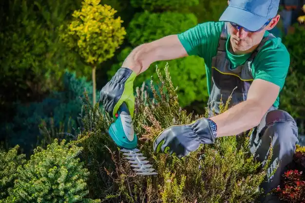 landscaping services Roseville